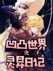 深入了解 蓝鸟在线导航